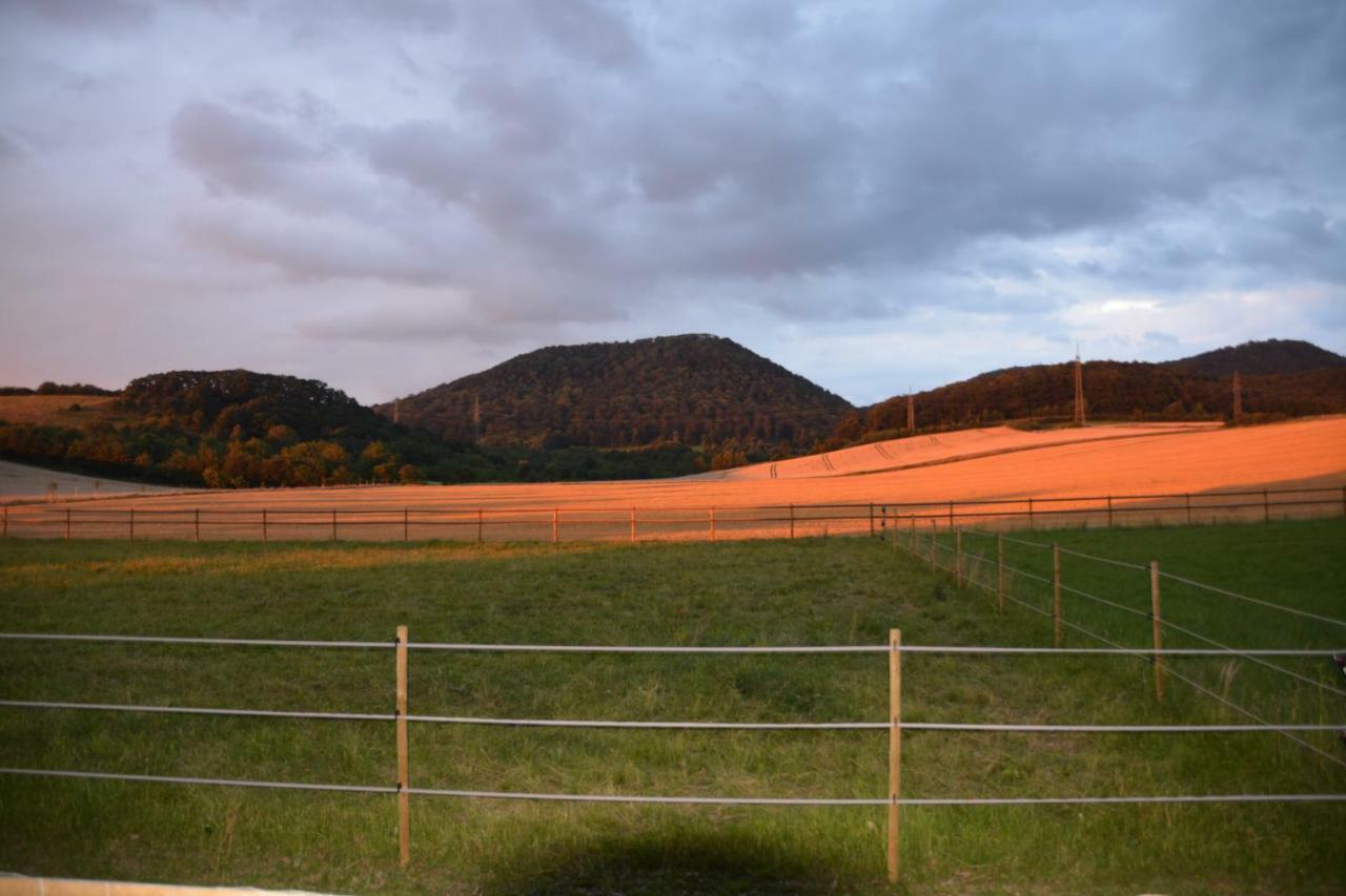Sieben-Berge-Haus Guest House Bruggen  Luaran gambar